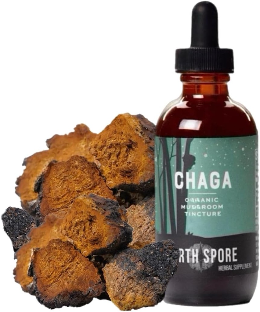 North Spore Chaga Mushroom Tincture | Energy & Wellness Boosting Supplement Drops | Adaptogenic Superfood | Dual Extract Organic Blend, 100% Fruiting Bodies | Non-GMO, Vegan - 2oz
