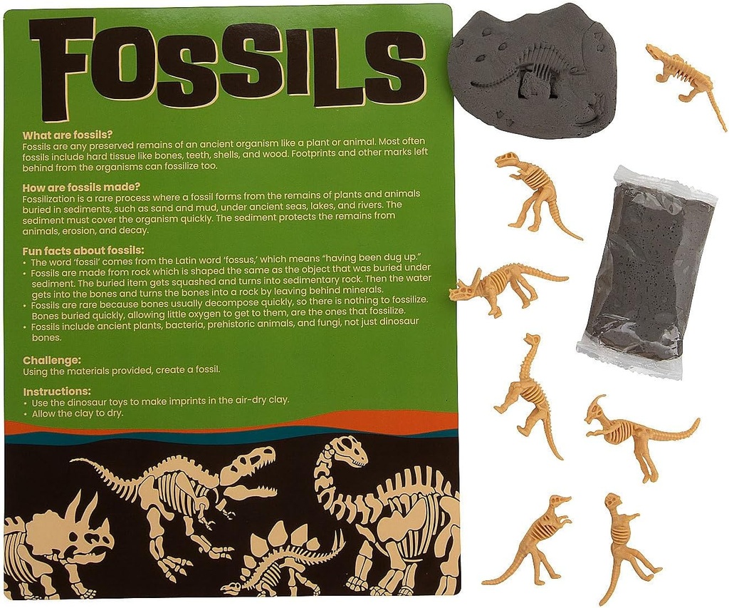 Fun Express Gør din egen Fossil Craft Kit - gør 12