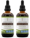 Hemmeligheder af Tribe Stinging Nettle Root Tincture Alkohol Uddrag, High- Potency Herbal Drops, Tincture Lavet af Stinging Nettle Urtica Dioica Luftveje og urinveje System Sundhed 2x4 oz