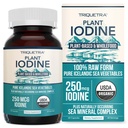 Organisk jod supplement fra Sea Vegetabilsk Complex, Hel Food & Raw Form - Jod Plus Trace Mineral Complex - Indeholder Pure Islandsk Sea Kelp, Irish Moss & Bladerwrack (250 mcg)