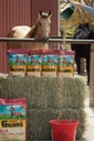 Horse Guard 4.6 lb, Equine Vitamin Mineral supplement med organisk Selen & E