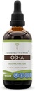 Hemmeligheder i Tribe OSHA Tincture Alkohol Extract, Responsible opdrættede OSHA (Ligusticum porteri) Tørret rod 4 OZ