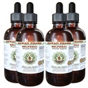 Selfheal Alkohol- Free Liquid Extract, Organic Selfheal (Prunella Vulgaris) Tørret Herb Glycerite Natural Herbal Supplement, Hawaii Pharm, USA 4x4 fl.oz