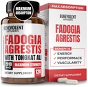 Fadogia Agrestis 1500mg [Højeste Renhed] + BioPerine ® for høj Absorption tillæg med Tongkat Ali - Øg Stamina, Lean Muscle Growth & Recovery, Boosts Drive 3. part testet 120 Kapsler