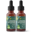 Liposomal Glutathion, Superior Absorption, Liquid Glutathion Supplement, Kraftig Antioxidant, Lever Detox, ImmunEnhancer, Soy- Free, Non- GMO, Vegan & Gluten Fre, 4 fl.oz, 1500 mg