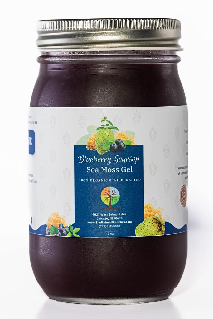 Økologisk Blåbær og Soursop Fruit Sea Moss Gel 16oz - Al Natural & Certified USDA Organic Seamoss Gel - Frembygget Saint Lucia SeaMoss gel - Stolt Lavet i USA