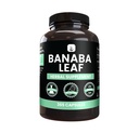 PURE ORIGINAL INGREDIENTS Banaba Leaf Extract (365 Capsules) No Magnesium Or Rice Fillers, Always Pure, Lab Verified