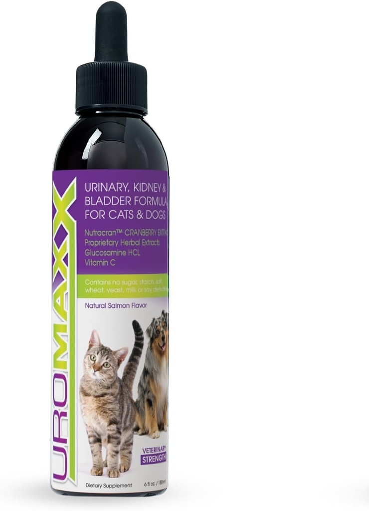 Kat & hund Urinary Tract Treatment, Bstige & Nyre Support for Dogs and Cats, Kraftfuld endnu Gentle Pet Care, med Flydende Tranebær & Glucosamin, Salmon Flavor, 6 oz Flaske, 1 Pack