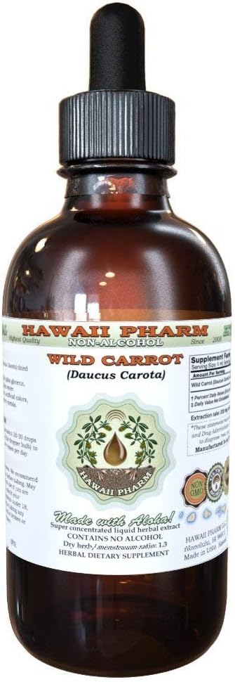 Wild Carrot Alkohol- Free Liquid Extract, Wild Carrot (Daucus Carota) Tørret frø Glycerit Urte Supplement 2oz