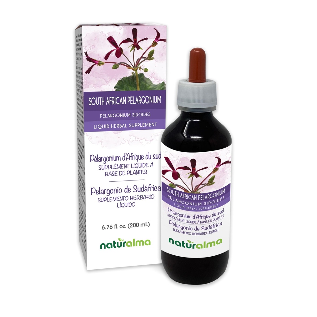 Naturalma South African Pelargonium or Umckaloaba (Pelargonium sidoides) Root Alcohol-Free Tincture - 6.76 fl oz Liquid Extract in Drops - Herbal Supplement - Vegan
