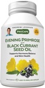 ANDREW LESSMAN Aften Primrose og Black Currant Seed Oil 60 Softgels - lindrer fysisk ubehag og Mood Swings På grund af menstruationscyklus, med Gamma- Linolenic, Omega- 6 Fedtsyrer, Ingen tilsætningsstoffer