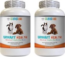 Hund Urinary Supplement - kæledyr Urinary Health Complex - for hunde og katte - Avanceret Brege Support - Hund Urinary Infektion - 2 flasker (180 Treats)