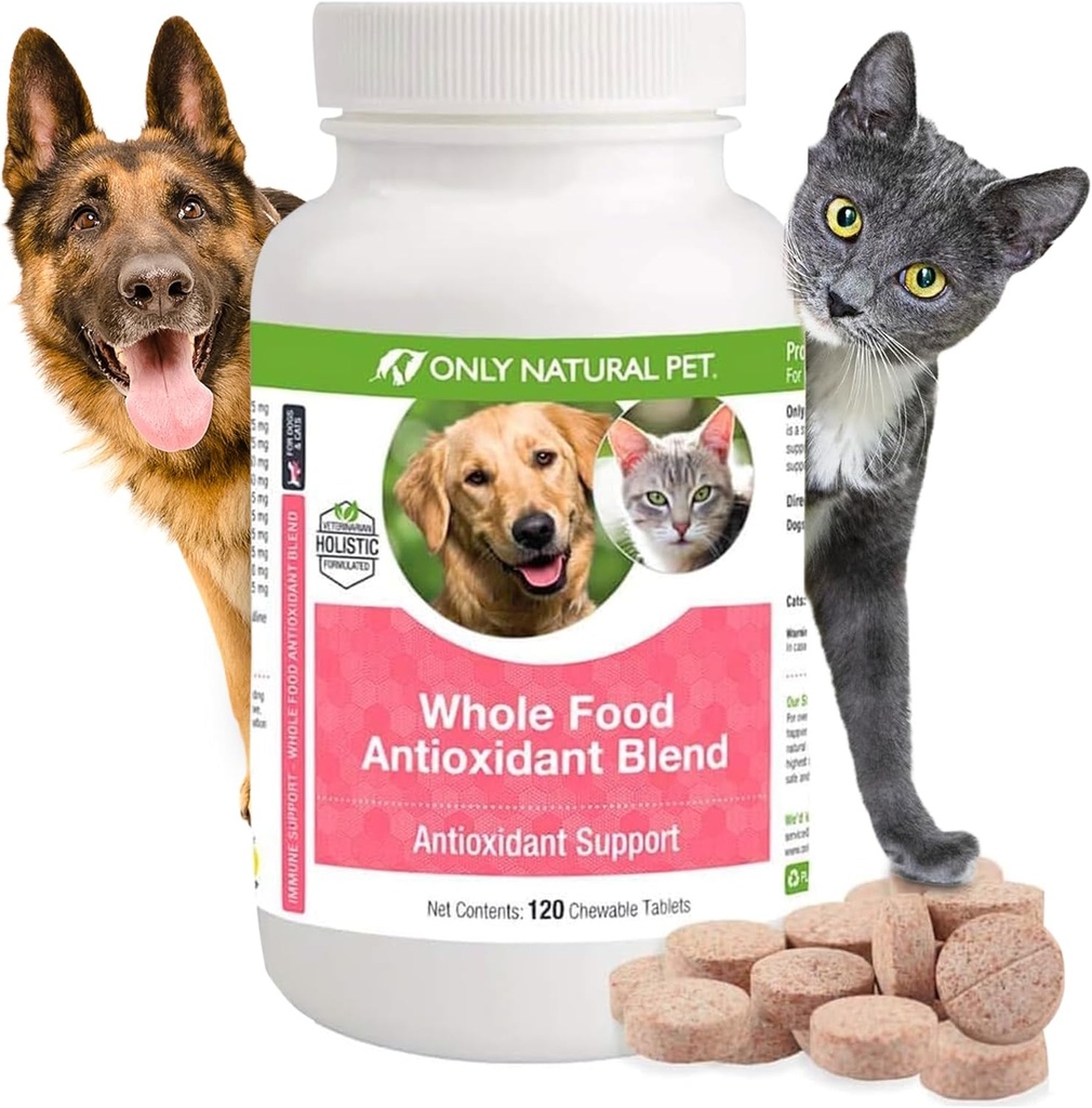 Kun Natural Pet Hel Food Antioxidant Green Tea & Berry Antioxidant Vitamin Supplement Blend for hunde, at støtte en sund immunsystem, Fight Gratis Radical skader - 60 bløde tygger