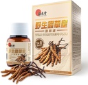 Wild Cordyceps Plus - Tibetansk Wild Cordyceps & 5 Dyrkede Cordyceps til immunforsvar, energi og lungestøtte - 60 kapsler