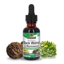 Naturens svar Black Walnut og Wormwood Complex 124; fremmer den samlede sundhed og velvære 124; Super koncentreret 2,000mg