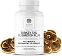DR. EMIL NUTRITION Tyrkiet Tail Mushroom Kapsler - Tyrkiet Tail Mushroom Supplement for Immunitet & Gut Sundhed - Elite Formel med løvens Mane, Chaga, Reishi & Maitake