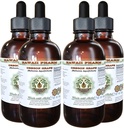 Hawaii Pharm Oregon Grape Alkohol- Free Liquid Extract, Oregon Grape (Mahonia aquifolium) Tørret Root Glycerite Natural Herbal Supplement, USA 4x4 fl.oz