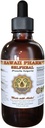 Selfaheal Liquid Extract, Organic Selfaheal (Prunella Vulgaris) Tinktur, Herbal Supplement, Hawaii Pharm, Lavet i USA, 4 fl.oz