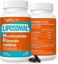 2000 MG Liposomal Nicotinamid Riboside Supplement med TMG & Pterostilben, High Bioavailability NAD + Boosting Supplement, Superior to Niacinamid for Energy, Immunity, Age Resistance, 120 Softgels