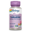 SOLARAY Gurkemeje Supplement 300 mg - Gurkemeje Root Extract med 95% Curcumin - Fælles Support Supplement for fælles sundhed og komfort - non-GMO, Vegan, Gluten Free, 60- Day Garanti, 60 Servering