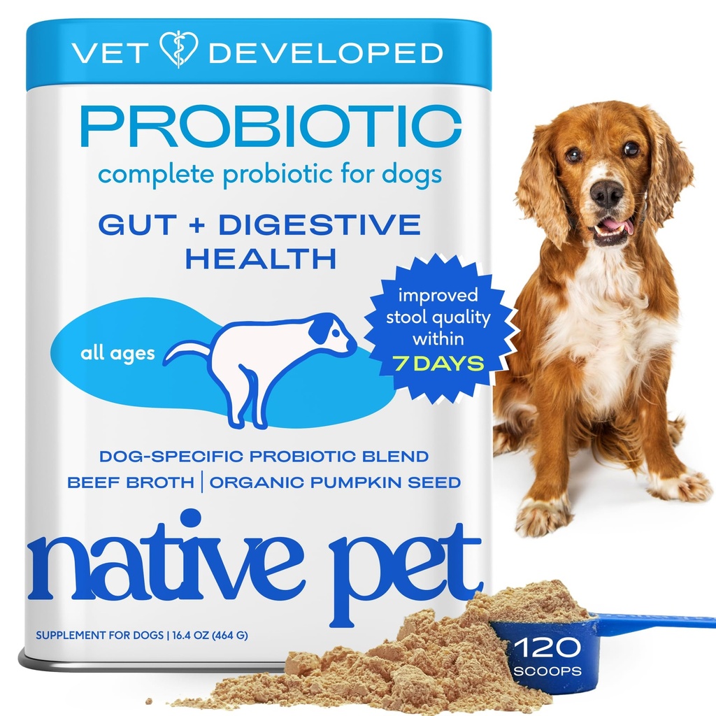 Indfødt Pet Probiotika til hunde - Hundeprobiotika pulver til fordøjelsessygdomme, Gut Support, & immunboost - Vet- Formuleret pulver til maksimal potens med fordøjelsesenzymer & Prebiotika - 120 Scoops