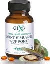 GLX3 Joint Support Extra Strength Omega-3 Supplements124; Premium New Zealand Green Lipped Mussel Oil - Comfort, Fleksibilitet, Muscle Recovery - ETA EPA DHA Omega 3 Supplement Kapsler af Haka Life