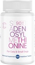SAM- e lever og hjerne sundhed supplement til små hunde og katte - med S-aDENOSYLmethionin (samme), 60 overtrukne tabletter