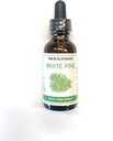 Fire elementer 4E White Pine Tinktur, 100% Certified Fresh Organic Herb Extract, 1 FL OZ