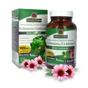 Naturens svar Echinacea & Goldenseal; Kosttilskud 124; Understøtter et sundt immunsystem