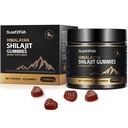 Organic Shilajit Gummies, Pure Himalayan Shilajit Gummies for Men Supplement, Gold Shilajit Gummies for Women Buddy Natural 85 + Trace Minerals, Ashwagandha, Black Seed Oil Extract, 90 Gummies