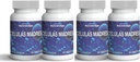 Celulas Madres- Stem Cell Supplement for Anti- Aging & Longevity, Non- GMO, Gluten- Free, Vegetar Kapsler, 60 Greve (4)