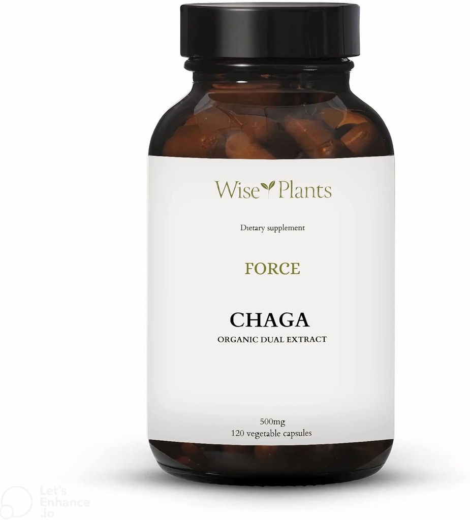 Chaga Mushroom Supplement. Dual Extract, Pure Fruiting Body, 30% polysaccharider, 500 mg, 120 vegecaps (120- Day Supply). Kan understøtte sund fordøjelse, immunfunktion og fremme hjertets sundhed.