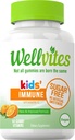 Wellvites Sugar Free Kids Immunity Daily Gummy Vitamin - Vegan, Non- GMO - Vitamin C Gummies for Kids Immunsupport, Ingen kunstige sødestoffer, Gluten- Free, Gelatin- Free, 60 Greve (30 Day Supply)