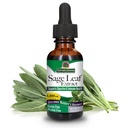 Naturens svar Alkohol gratis Sage Leaf Supplement 1 Fluid Ounce Gluten Free Memories 124; Digestive Support Memories 124; Promoes Mental Function Memories 124; Fordele Gut Health