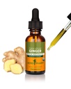 Herb Pharm Certified Organic Ingefær Liquid Extract til fordøjelsesstøtte - 1 Ounce