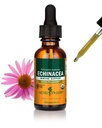 Herb Pharm Certified Organic Echinacea Root Liquid Extract for Immunsystemet Support, Organic Cane Alkohol, 1 Ounce (DECH01)