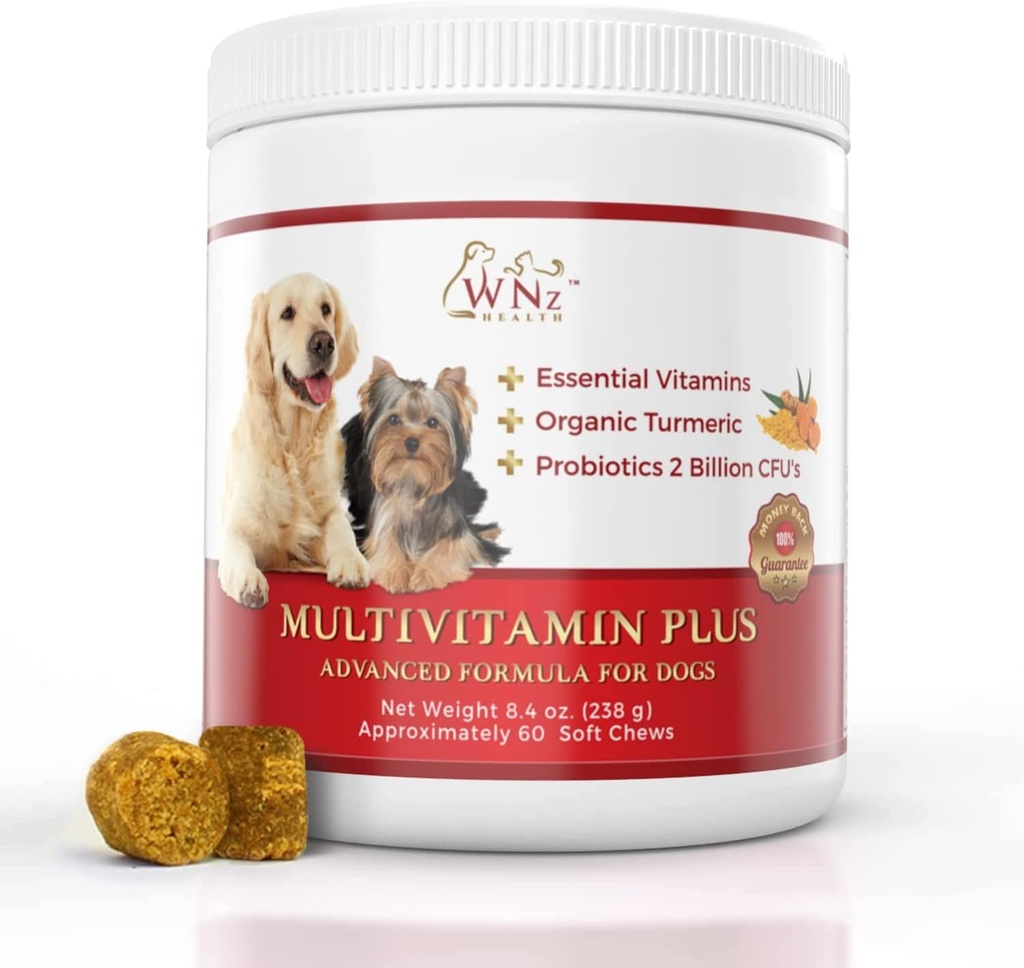 Hund Multivitaminer og Kosttilskud, Probiotika til hunde w / Gurkemeje & Yucca, Probiotiske Hund Chews for Hjerne funktion, Gut & immunforsvar, Fælles Sundhed & Antiinflammatoriske Supplement, 60 Chews, 8.4 oz
