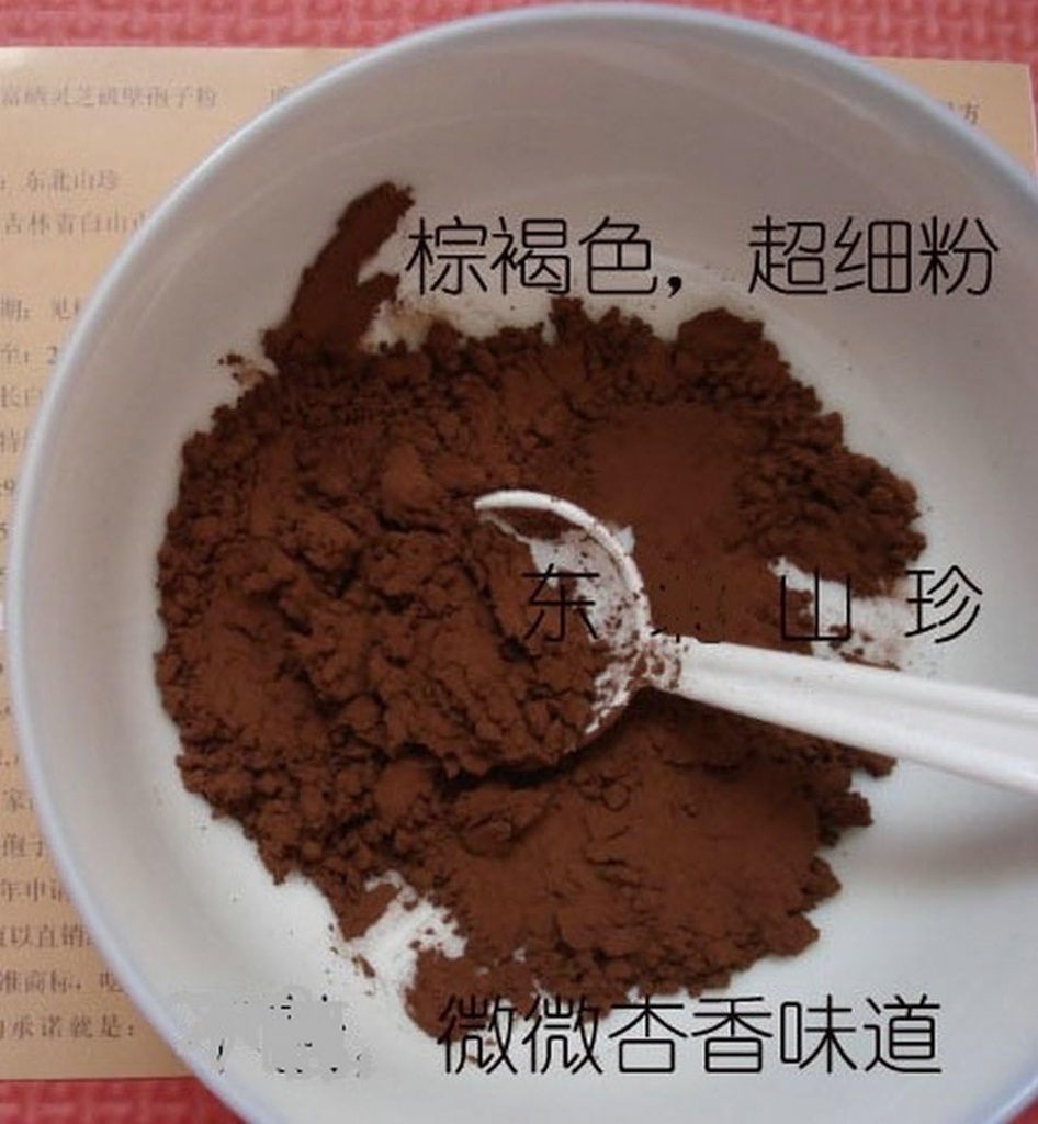 Duan- Wood 98% Shell- Broken LINGZHI Ganoderma Reishi Spore Powder 100Grams (3,5 oz.) Vakuumpakning