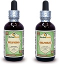 Selfheal (Prunella Vulgaris) Glycerit, Organic Tørret Herb Alkohol- GRATIS Liquid Extract (Brand name: HerbalTerra, Stolt fremstillet i USA) 2x2 fl.oz (2x60 ml)