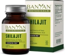 Banyan Botanicals Shilajit - Økologisk og bæredygtig mineral Pitch - Mineral- Rich Shilajit supplement til naturlig afgiftning og sund aldring * - 90 tabletter - Ikke GMO bæredygtigt sour Vegan