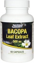 Bacopa Leaf Extract - 500 mg - 60 kapsler