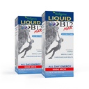 Wellgenix B12 Max Liquid - Vitamin B6, B12 & Folate- High Absorption - Kardiovaskulær sundhed, mental Klarhed, Energi Boost & Vægttab - 1.75oz, 2 Pack