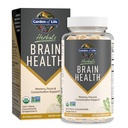 Life Brain Health supplement med Organic Lions Mane & Gurkemeje, Non- GMO, Glutenfri, Mint Flavor - for hukommelse, fokus og sund hjerne funktion