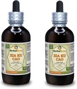 Xia Ku Cao, Prunella (Prunella Vulgaris) Tinktur, Økologisk tørret spike pulver flydende ekstrakt (Brand Name: HerbalTerra, Stolt Made in USA) 2x4 fl.oz (2x120 ml)