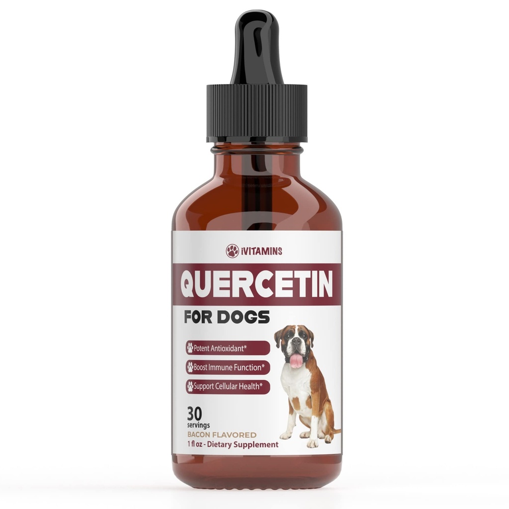 Quercetin til hunde