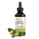 Maxx Herb Olive Leaf Extract - Max Strength Oleuropein Liquid Absorbs Bedre end kapsler eller te, for immunforsvar, hjerte sundhed, og sæsonbetinget Wellness - 4 Oz Flaske (60 Servere)
