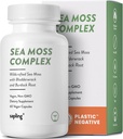 sapling Sea Moss Complex - Organic Irish Sea Moss, Organic Bladderwrack, Organic Burdock Root - Wildcrafted Sea Moss Capsules. Vegan og non-GMO (60 greve (pakke med 1))