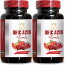 URIC Acid Support - Uric Acid Level Support, Uric Acid Vitaminer til mænd og kvinder, Nyre Herbal Kosttilskud, Chanca Piedra - 2 flasker 120 Kapsler