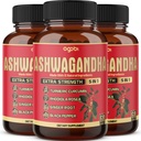 3 Pakker 60 kapsler - Ashwagandha Supplement 5200mg - 5in1 med ingefær, gurkemeje, Rhodiola Rosea & Black Pepper - Stamina & Kropssund Support - 6-måneders levering