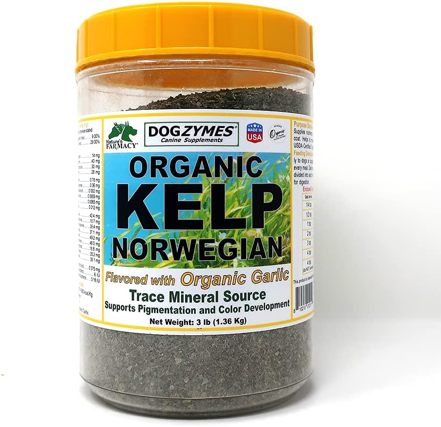 Dogzymes Organic Norwegian Kelp Forbedret med hvidløg (3 Pund)